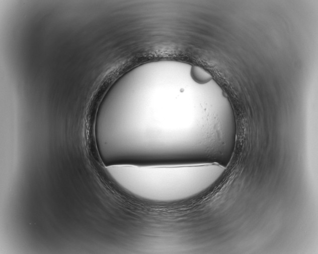 X0000093760640200710160837