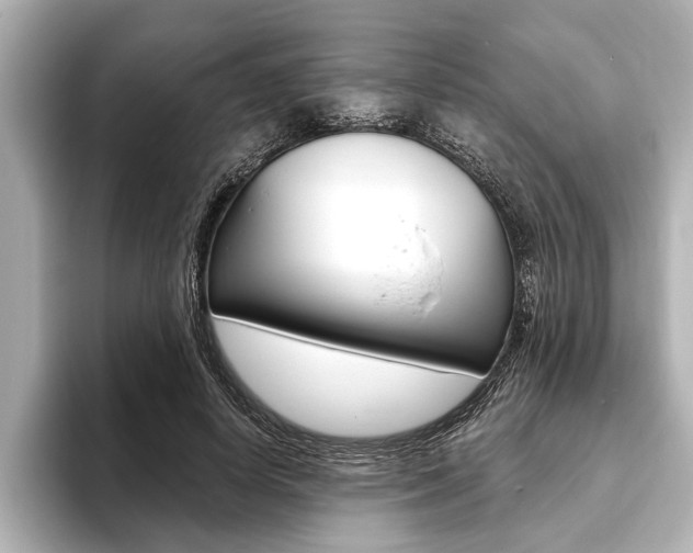 X0000093760642200710160837