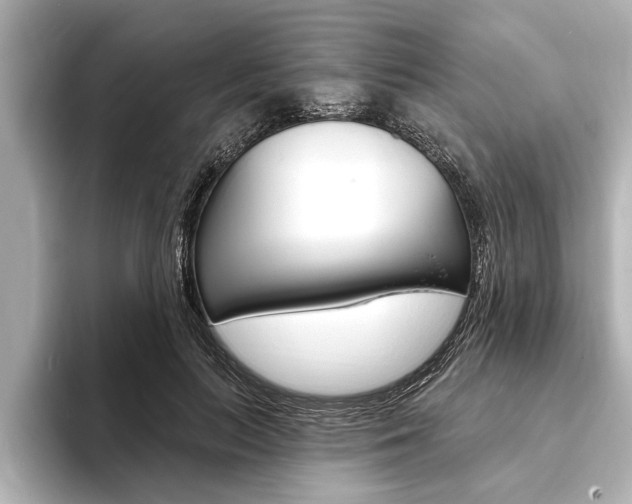 X0000093760647200710160837