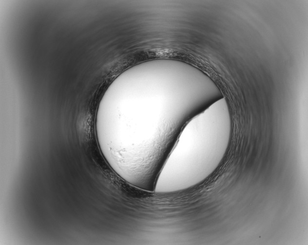 X0000093760650200710160837