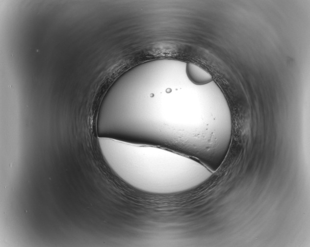 X0000093760652200710160837