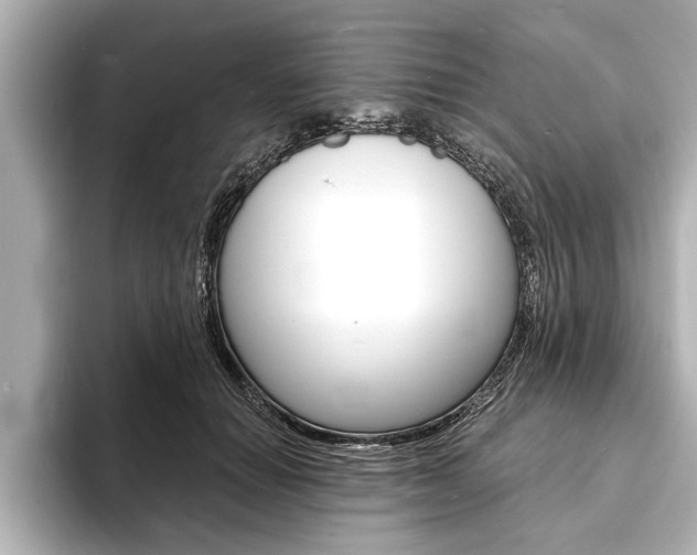 X0000093760654200710160837