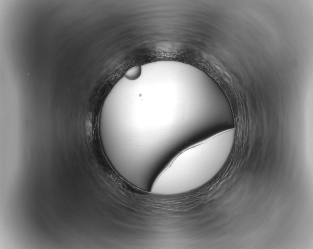 X0000093760655200710160837