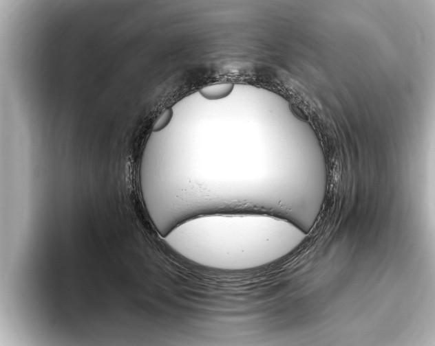 X0000093760659200710160837