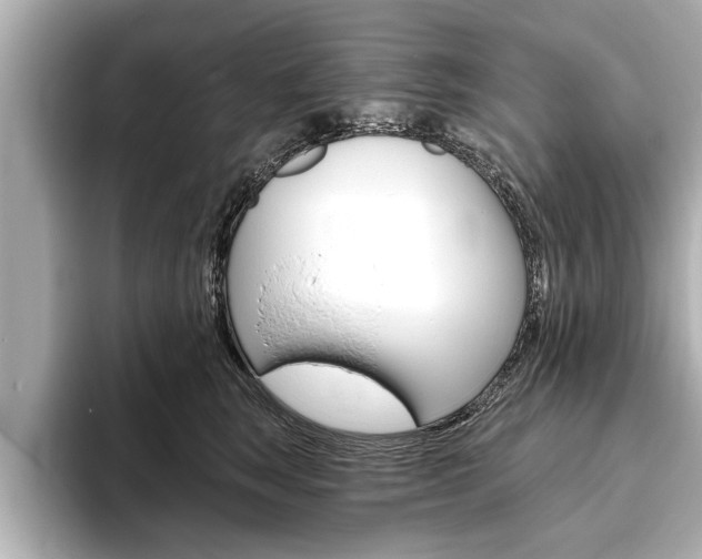 X0000093760663200710160837