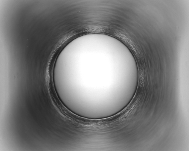 X0000093760674200710160836
