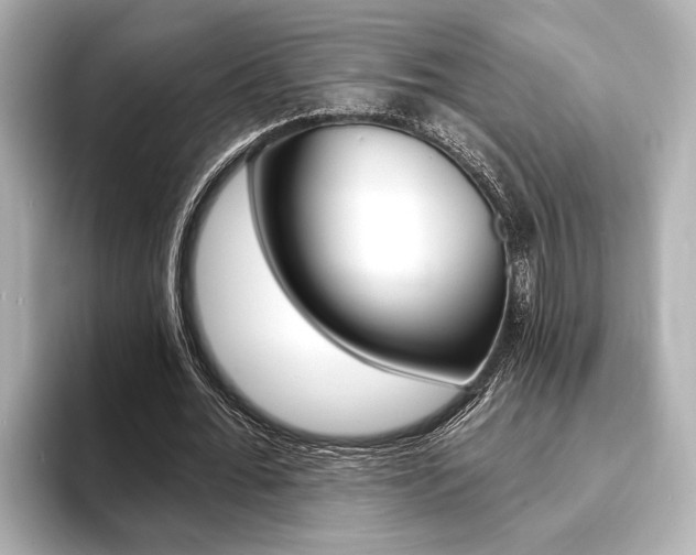 X0000093760676200710160836