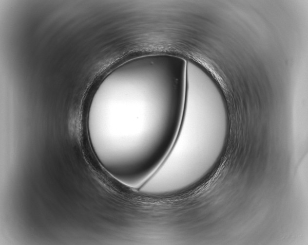 X0000093760677200710160836
