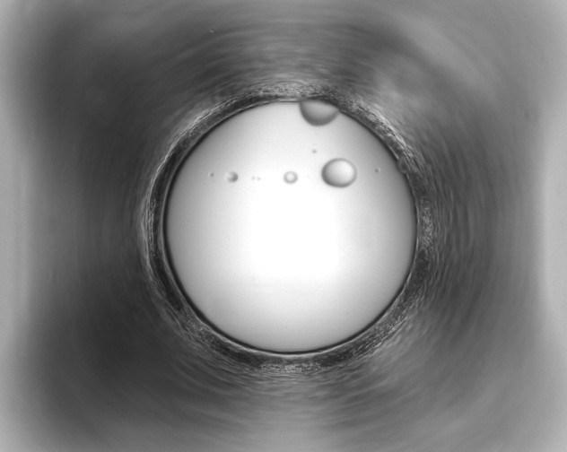 X0000093760679200710160836