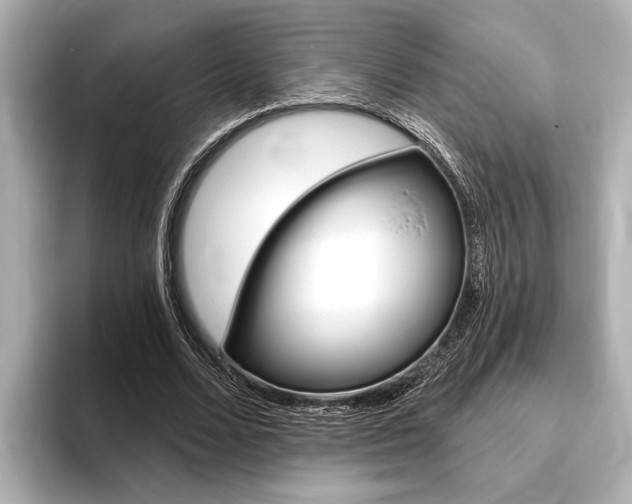 X0000093760680200710160836