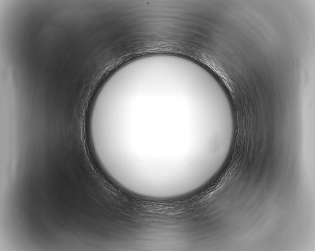 X0000093760681200710160836