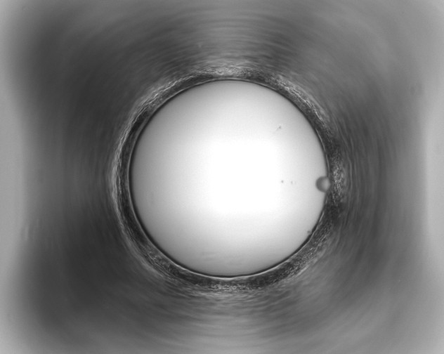 X0000093760682200710160836