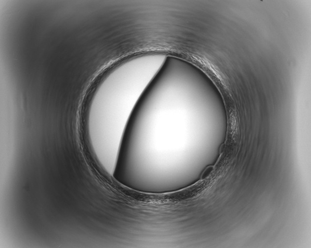 X0000093760684200710160836