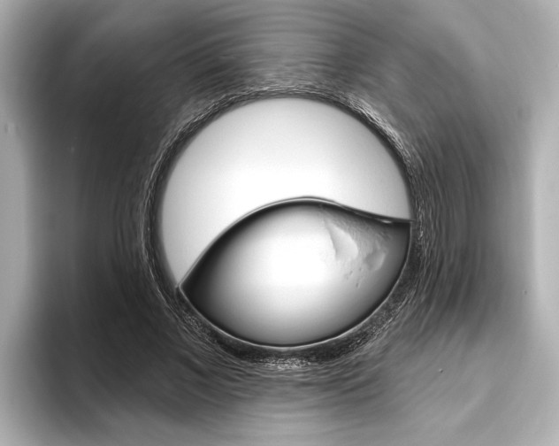 X0000093760685200710160836