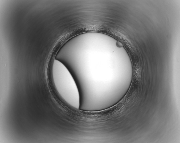 X0000093760686200710160836