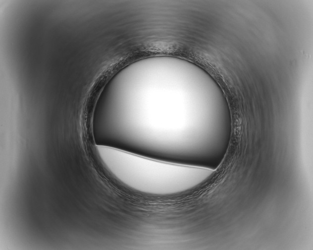 X0000093760688200710160836