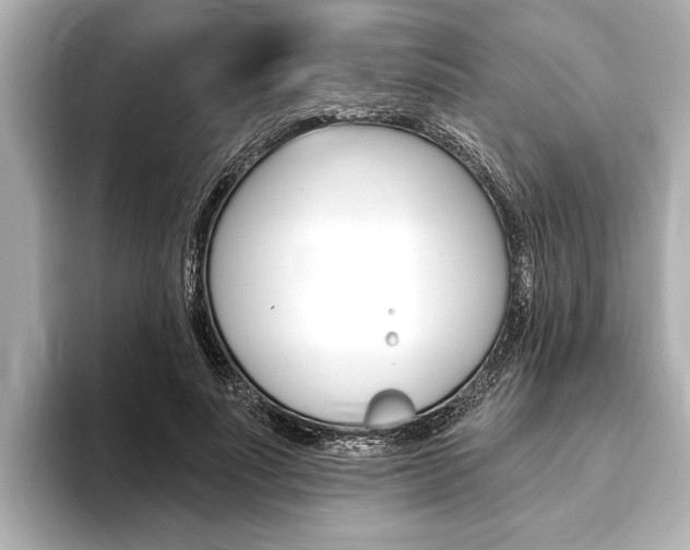 X0000093760691200710160836