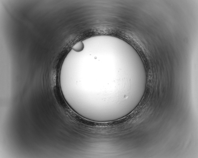 X0000093760694200710160836