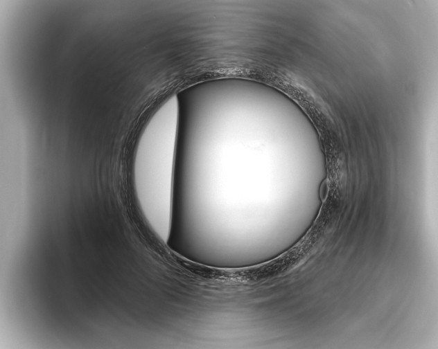 X0000093760696200710160836