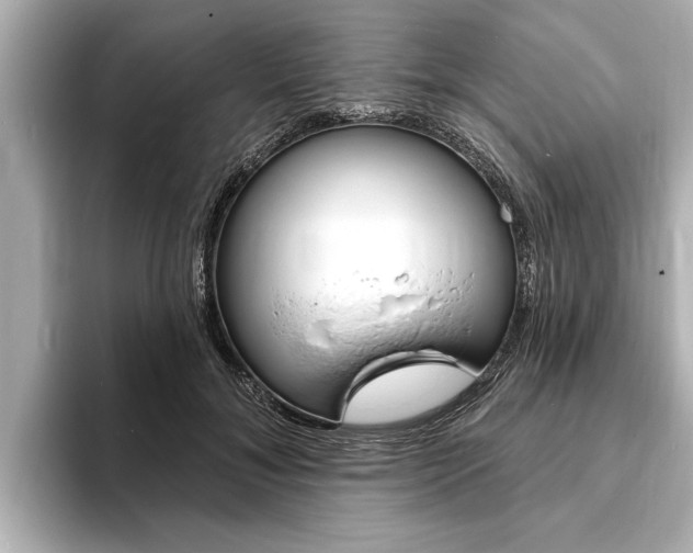 X0000093760700200710160836