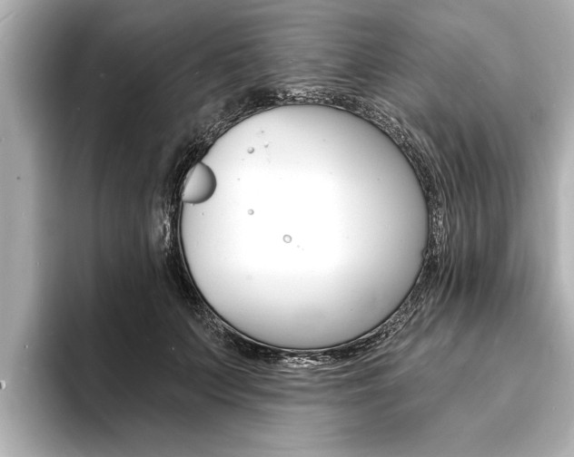 X0000093760703200710160836