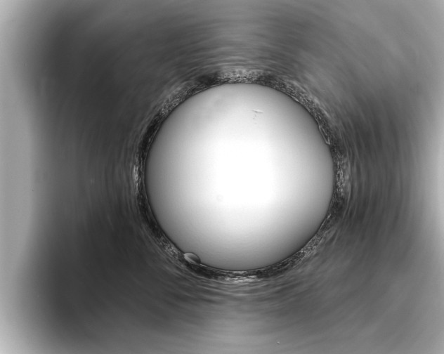 X0000093760716200710160836