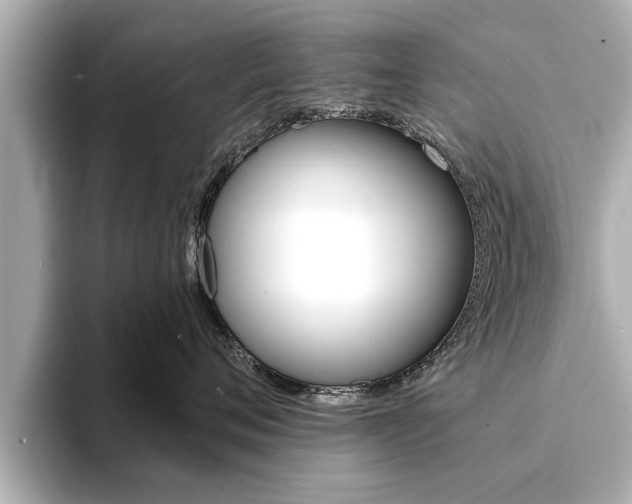 X0000093760720200710160836