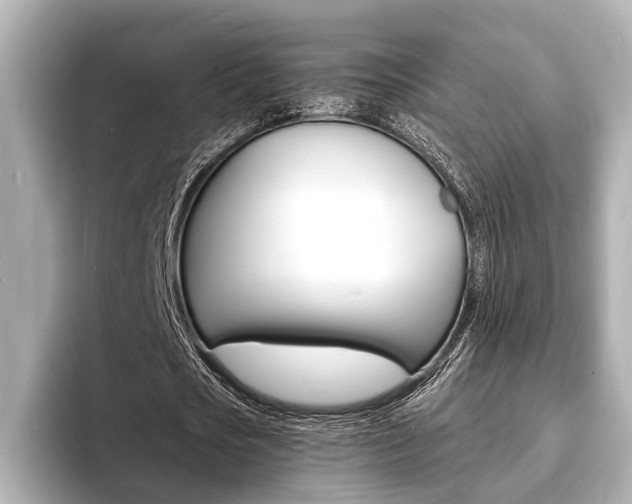 X0000093760721200710160835