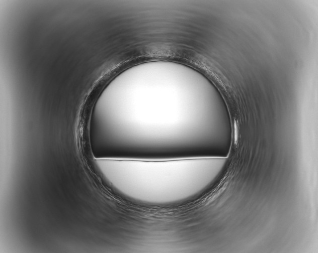 X0000093760723200710160835