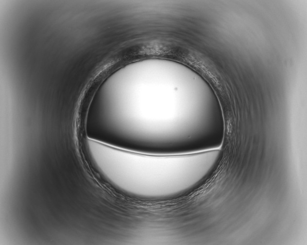 X0000093760724200710160835