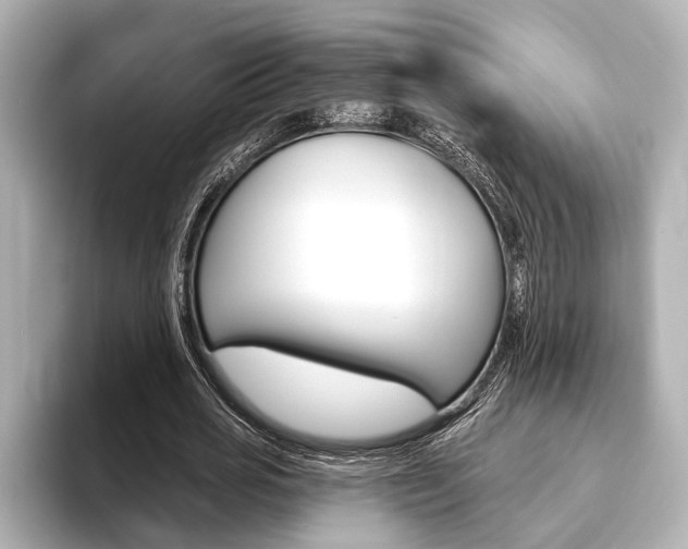 X0000093760725200710160835