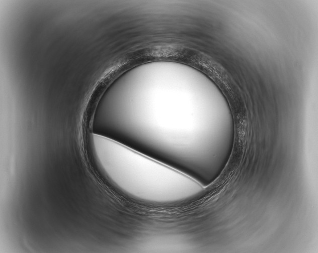 X0000093760727200710160835
