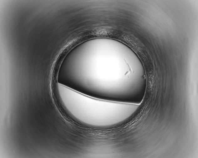 X0000093760728200710160835