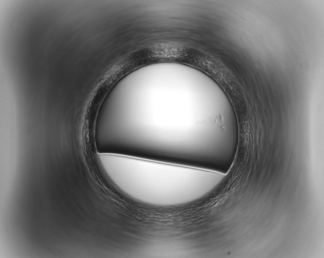 X0000093760731200710160835