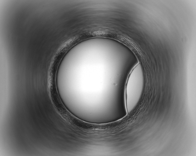 X0000093760732200710160835
