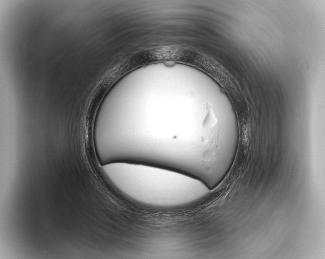 X0000093760733200710160835