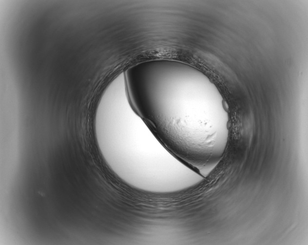 X0000093760748200710160836
