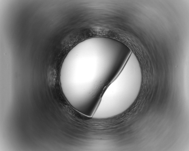 X0000093760752200710160836