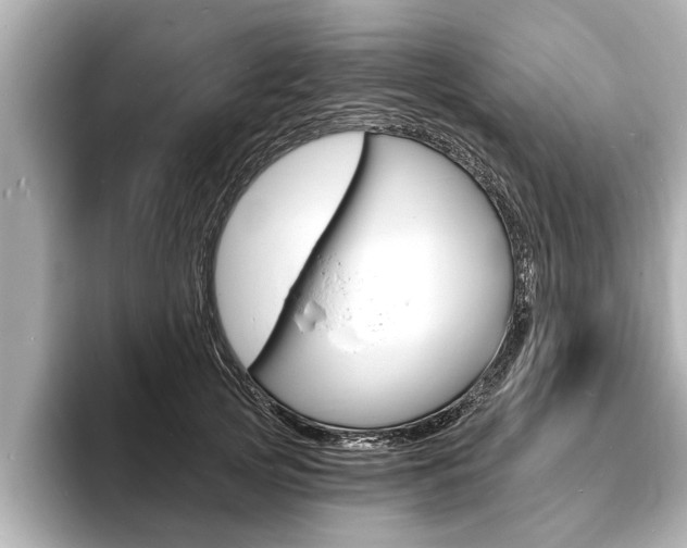 X0000093760753200710160836