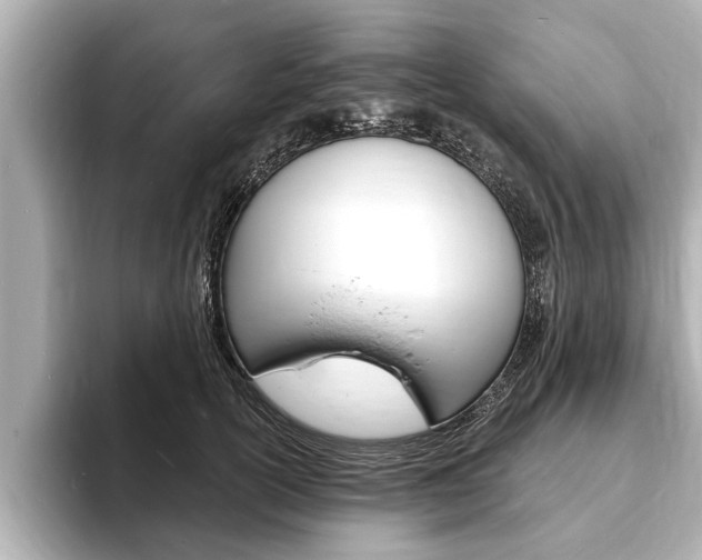 X0000093760754200710160836