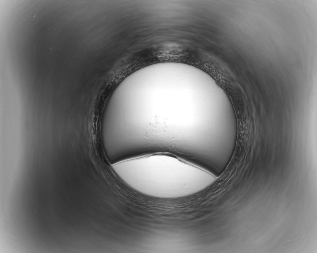 X0000093760755200710160836