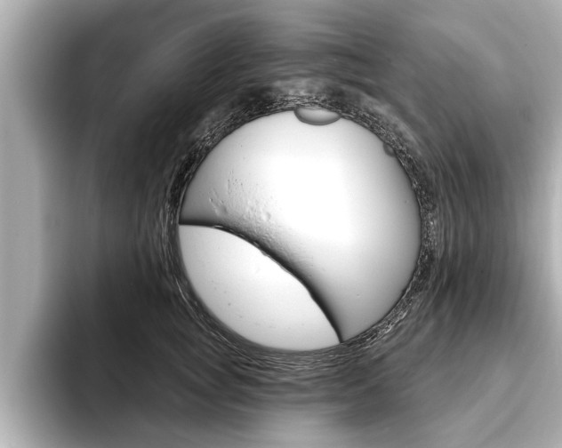 X0000093760757200710160836
