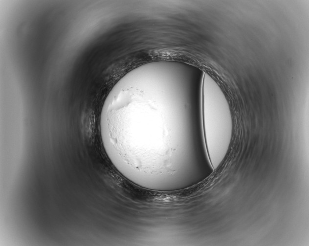 X0000093760760200710160836