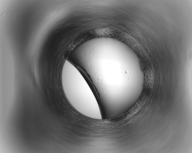 X0000093760762200710160836