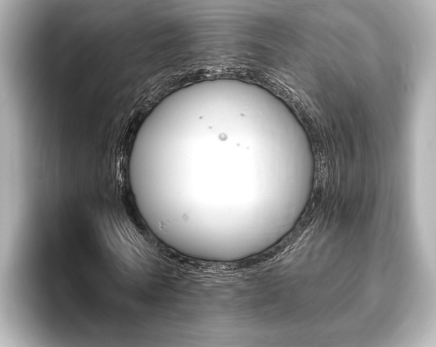 X0000093760770200710160835
