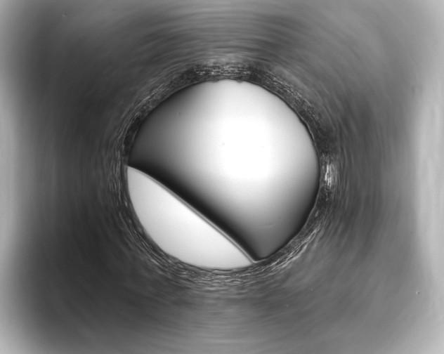 X0000093760771200710160835