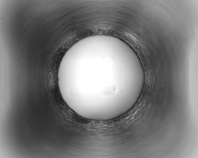 X0000093760774200710160835