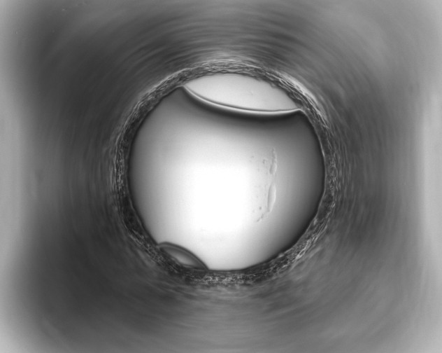 X0000093760775200710160835