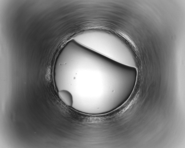 X0000093760777200710160835