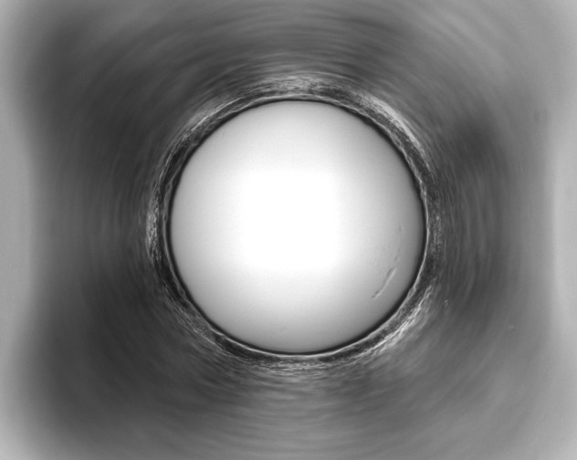 X0000093760778200710160835